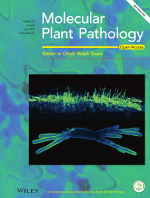 Molecular Plant Pathology – Kusch 2023